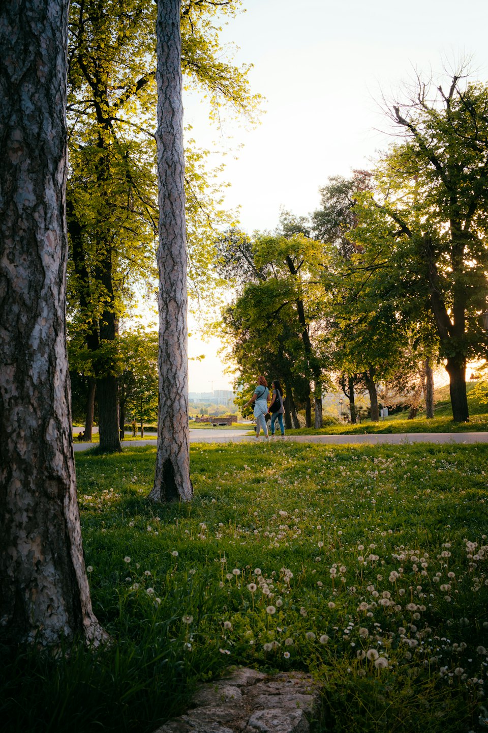 Two people walk along a paved path in an urban park.